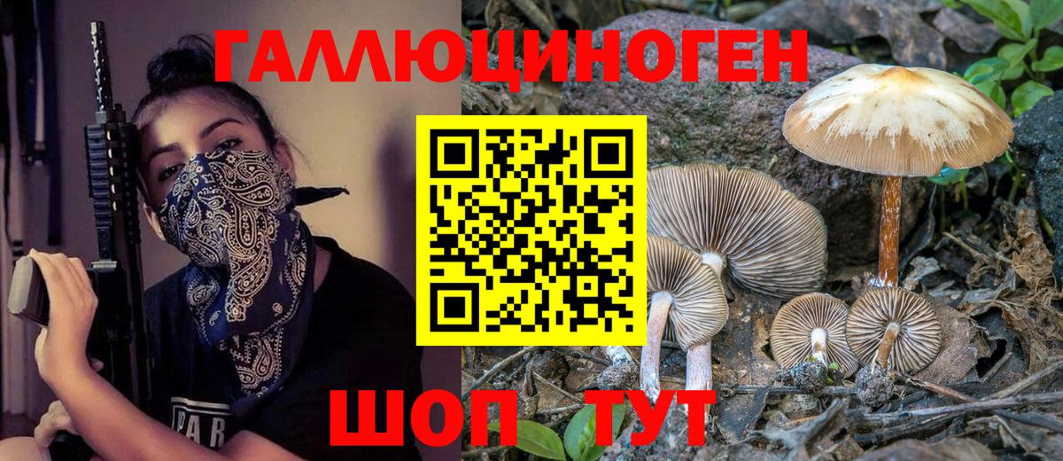 Псилоцибиновые грибы прущие грибы  Псилоцибиновые грибы MAGIC MUSHROOMS  Кыштым  Вход с VPN 